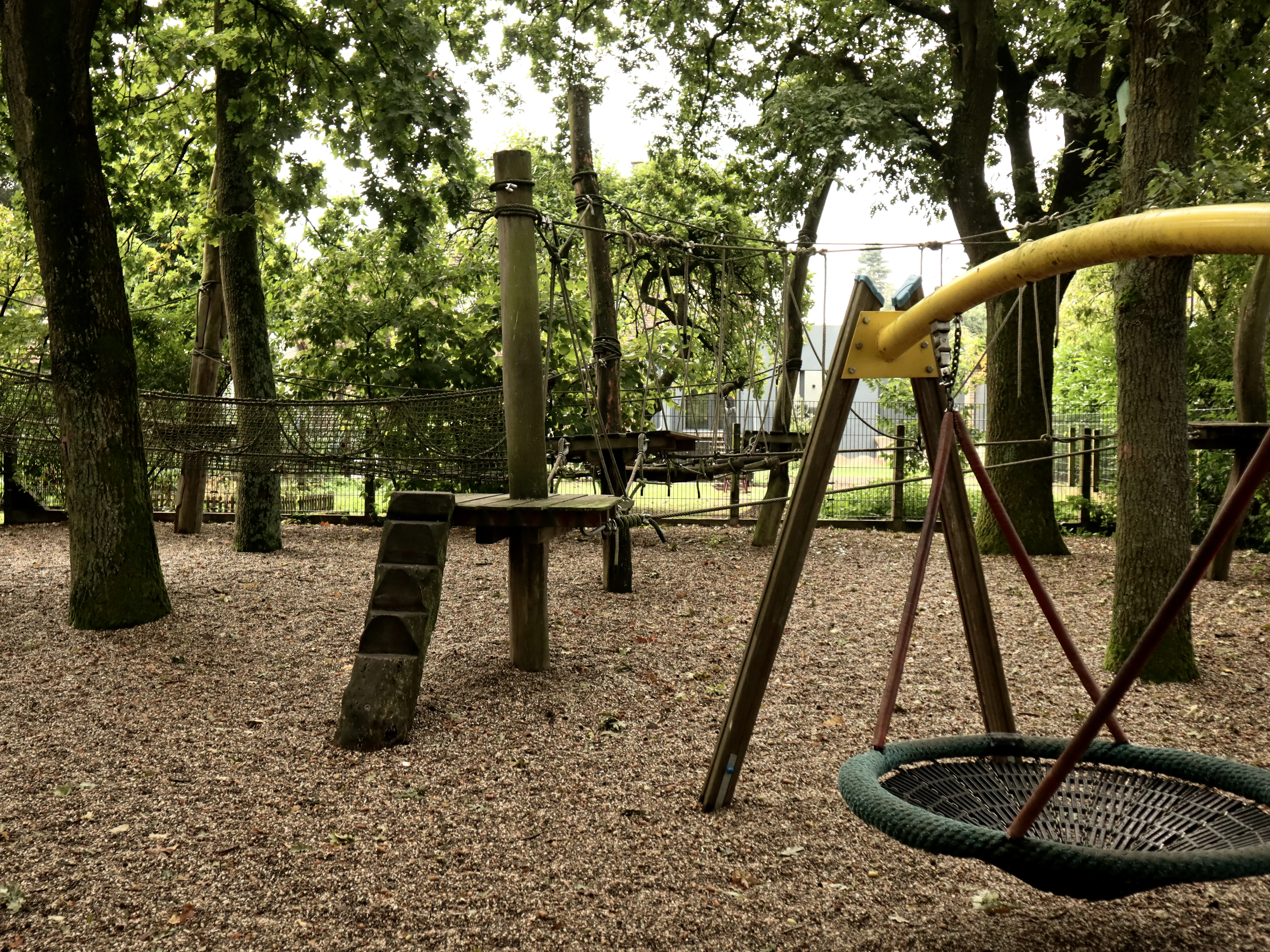 Naturnaher Spielbereich mit Schaukeln und Seilen zwischen Bäumen.